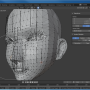 tutorial_blender_miriam_head_proportional_editing_size.png