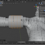 tutorial_character_editing_add_armor_loop_cut_complete_cylinder.png