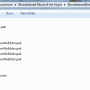 tutorial_create_pak_final_pak_in_paks_folder.png